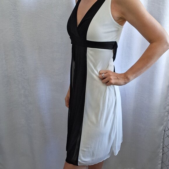 28. Alyn Paige V-Neck sleeveless Mini Cocktail Dress sheer overlay skirt empire - Picture 2 of 5